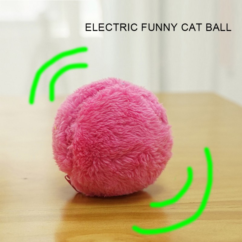 cat roller ball toy